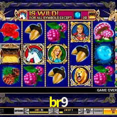 br9 Rio de Janeiro - Bonus Terms