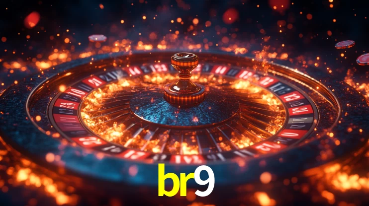 br9 App Interface